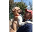 3anni pastorino salvato da 1lager abruzzese PROV PAVIA
