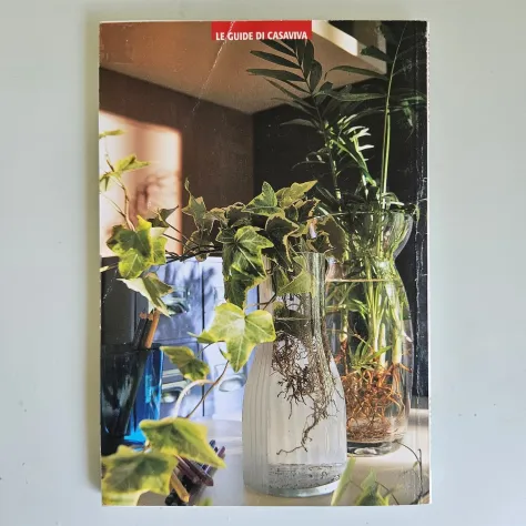 Verde in Casa - P.A.Bragato - Mondadori - 1990 - TRACCIATA!! - Foto 7