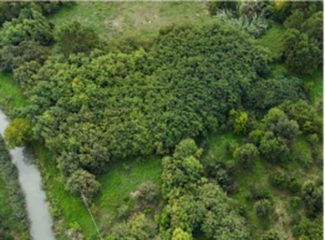 Immobile in asta di 49900 m² in vendita a Mantova - Foto 4