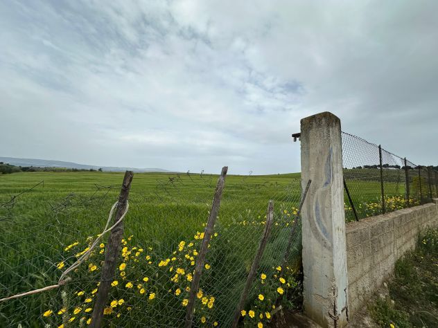 TERRENO SEMINATIVO RECINTATO 30.000 MQ. - 60.000 EURO