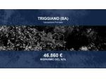 Immobile in asta di 6103 m² in vendita a Triggiano
