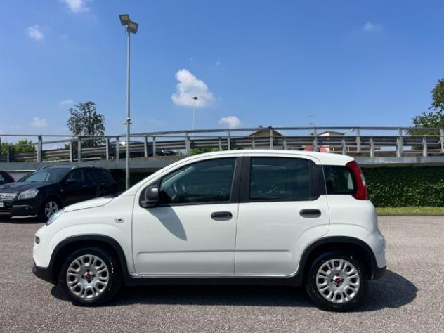 FIAT Panda 1.0 FireFly S&S Hybrid 70CV UNICO PROPRIETARIO rif. 23675530 - Foto 7