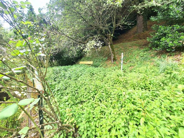 Casa Bifamiliare semindipendente con 500mq di giardino - Foto 7