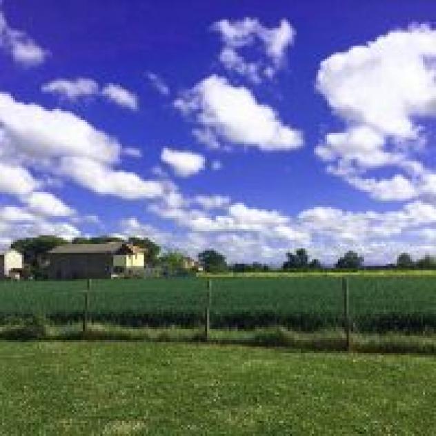 B&B Papaveri e Papere - Foto 3