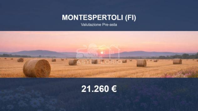 Immobile in asta di 80320 m² in vendita a Montespertoli
