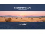 Immobile in asta di 80320 m² in vendita a Montespertoli