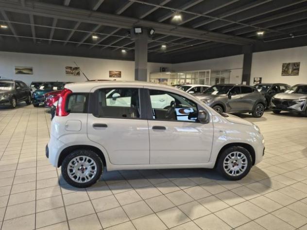 FIAT Panda 1.2 Easy NEOPATENTATI rif. 23790713 - Foto 4