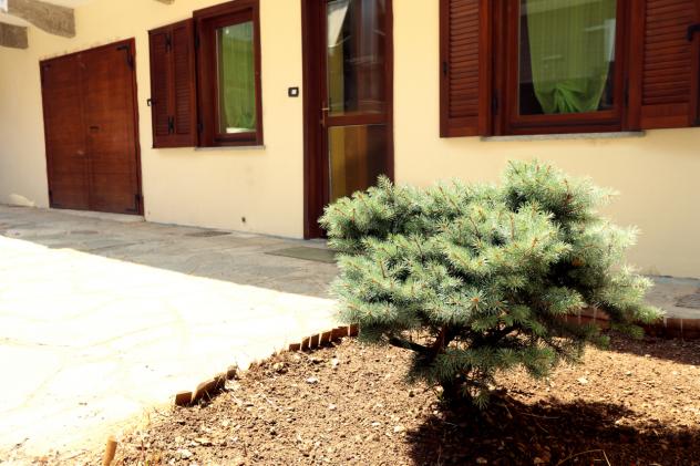 Monolocale in affitto a Rivoli