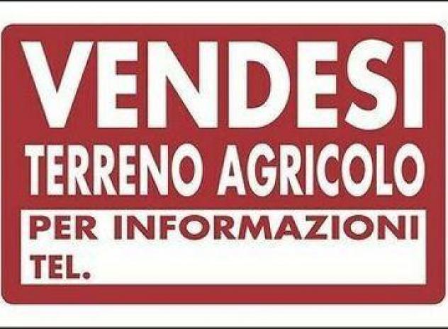 Terreno agricolo in vendita a Navacchio - Cascina 7000 mq Rif: 1178518