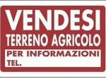 Terreno agricolo in vendita a Navacchio - Cascina 7000 mq  Rif: 1178518