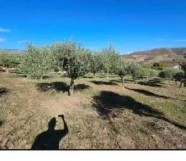 Immobile in asta di 4619 m² in vendita a Cerda - Foto 4
