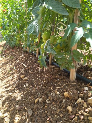 Terreno agricolo in cd ramotta Partinico - Foto 3