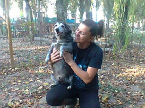 COMODINO, simpaticissimo cagnolino - Foto 2