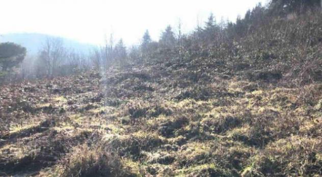 Immobile in asta di 2 m² in vendita a Gazzola - Foto 2