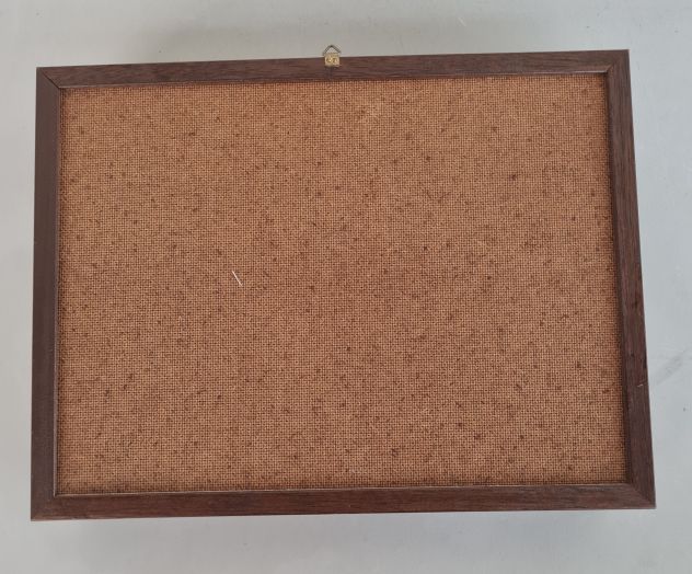Quadro vitage a cassetta con  esemplare di farfalla da collezione - Foto 3