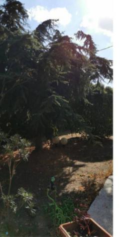 Immobile in asta di 70 m² in vendita a Lucera - Foto 11