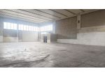 Capannone industriale in affitto a Veneri - Pescia 560 mq  Rif: 1399745