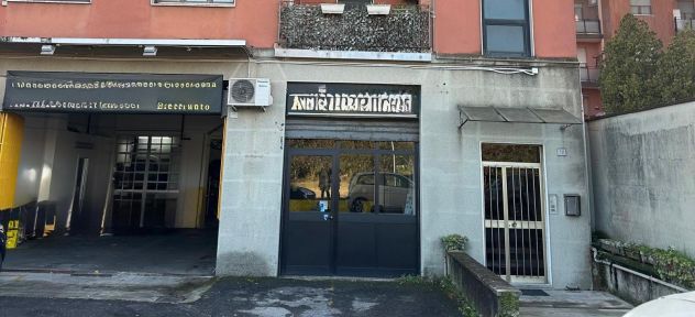 Capannone in affitto