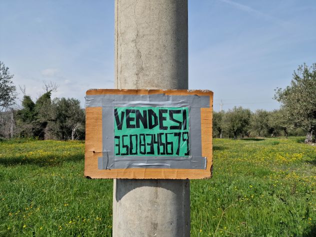 TERRENO EDIFICABILE AGRICOLO ROSCIANO - Foto 2