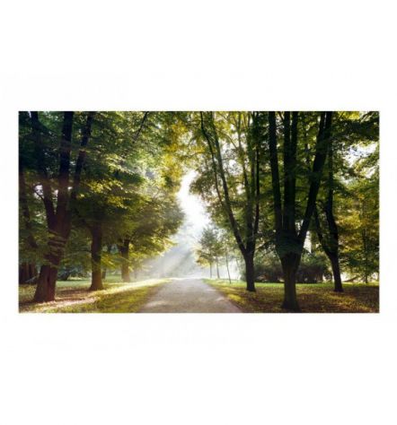Fotomurale Adesivo Con La Stradina Di Montagna Arredalacasa - Foto 2