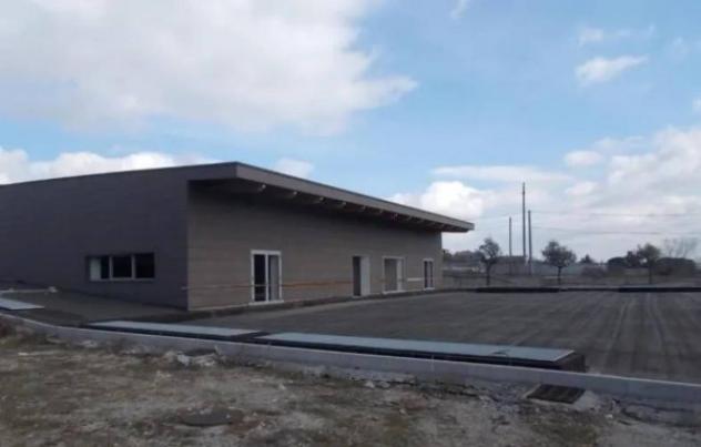 Immobile in asta di 12301 m² in vendita a Tito - Foto 6