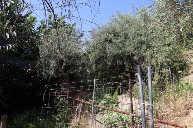Terreno Edificabile in vendita a Calatabiano