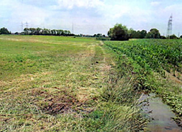 VERDERIO: TERRENO agricolo - Foto 5