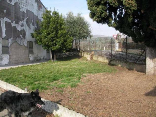 Immobile in asta di 226 m² con più di 5 locali in vendita a Illasi - Foto 6