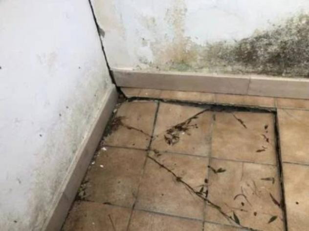 Immobile in asta di 150 m² con più di 5 locali in vendita a Rodi Garganico - Foto 2