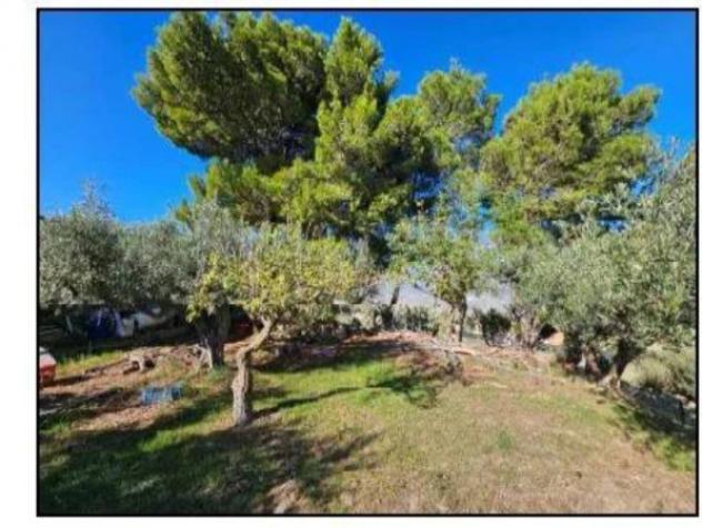 Immobile in asta di 4619 m² in vendita a Cerda - Foto 6