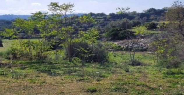 Immobile in asta di 51620 m² in vendita a Ragusa - Foto 7