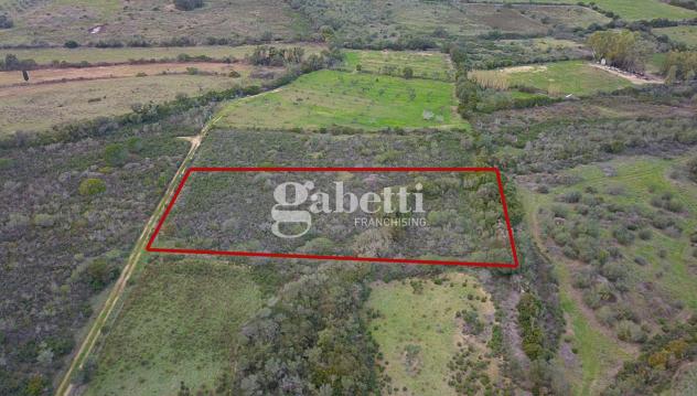 Terreno Agricolo - Budoni . Rif.: Cod. rif 3204979VCG - Foto 5