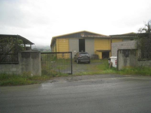 Immobile in asta di 2072 m² con più di 5 locali in vendita a Acquapendente - Foto 2