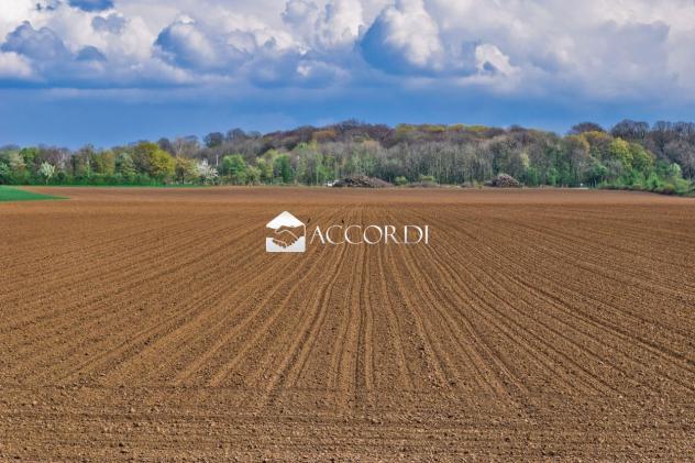 TERRENO AGRICOLO di 29000 mq (TREVISO) rif. DG324 - Foto 3