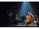 Pianista con esperienza per eventi