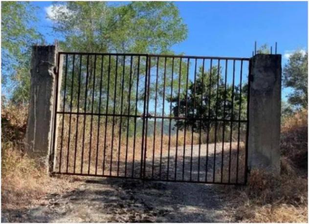 Immobile in asta di 62700 m² in vendita a Galatro - Foto 2