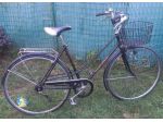 Classica city sport con cestino pronta