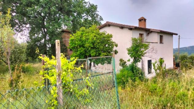 Casa indipendente 200 mq in Vendita a PONNIBIALE - Foto 5