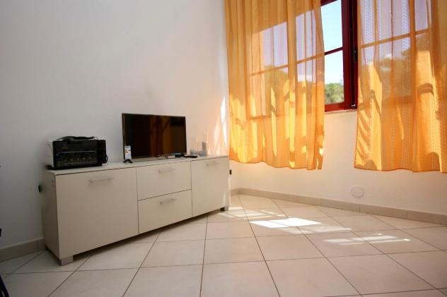 Appartamento in affitto a Calambrone - Pisa 45 mq Rif: 979532 - Foto 6