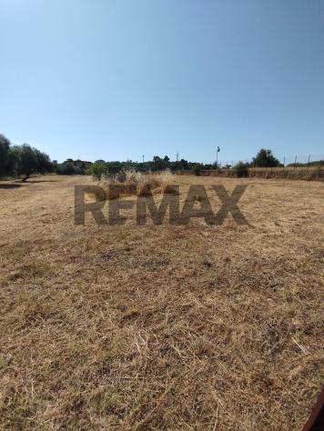 Terreno Edificabile in vendita a Motta Sant'Anastasia - Foto 2