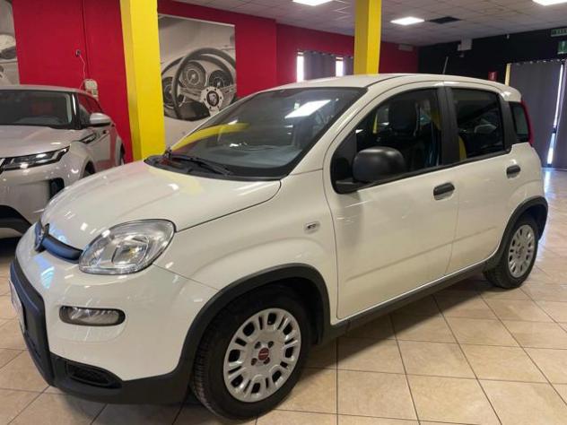 FIAT Panda 1.0 FireFly S&S Hybrid-PREZZO +IVA rif. 24213278 - Foto 3