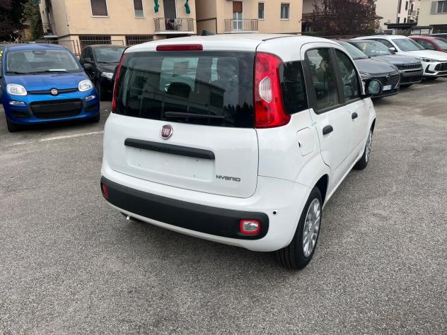 FIAT Pandina Pandina 1.0 firefly hybrid Icon s&s 65cv - Foto 8