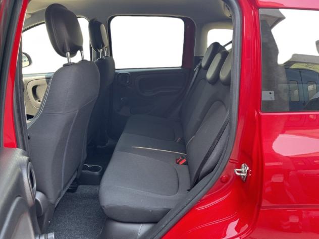 FIAT Panda Cross Panda III 2021 Cross Panda 1.0 firefly hybrid City Cross s&s 70cv 5p.ti - Foto 8