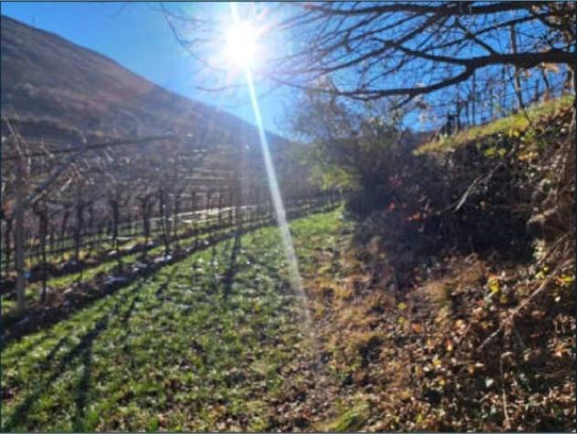 Immobile in asta di 1709 m² in vendita a Rovereto - Foto 13