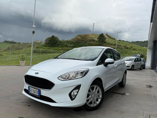 Ford Fiesta 1.5 EcoBlue 5 porte Business - Foto 2