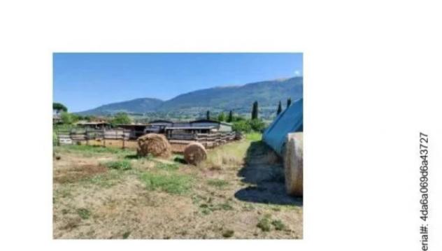 Immobile in asta di 182 m² in vendita a Assisi - Foto 4