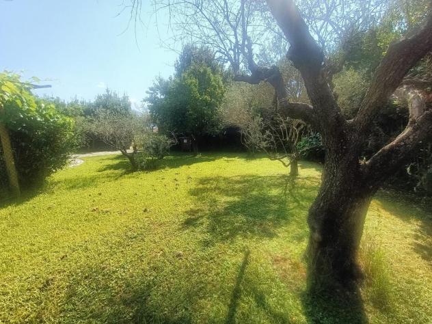 Terreno agricolo in vendita a Battilana - Carrara 1750 mq Rif: 1427731 - Foto 5