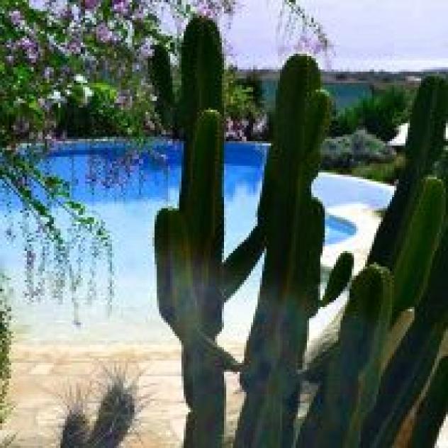 Antica Masseria Timparuci di Garofalo Paola - Foto 3