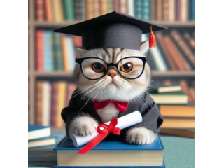Assistenza tesi di laurea