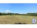 Terreno agricolo in posizione dominante